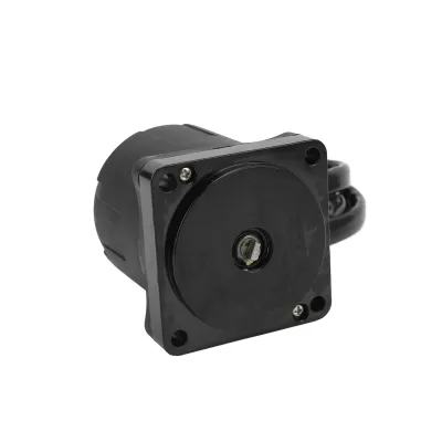 Image de Tilt Trim Motor,Outboard Tilt Trim Motor,38100-96J00,38100-92J00,430-22123,Tilt Trim Motor Replacement