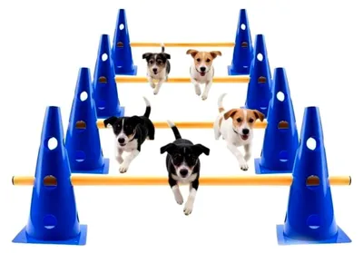 Produktbild von 5er Steckhürdenset für Hunde, Agility Set für kleine Hunde, Cavaletti Steckhürden mit 10 Kegeln und 5 Stangen für Koordinationstraining