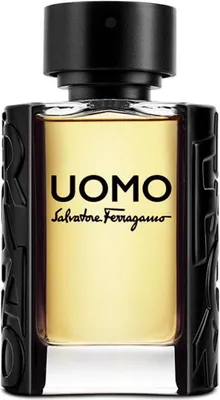 Immagine prodotto di Salvatore Ferragamo Uomo Eau de Toilette per uomo 30 ml