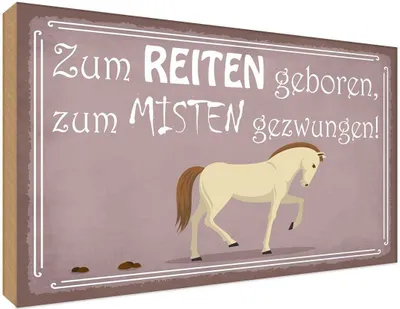 Produktbild von vianmo Holzschild 30x40 cm zum Reiten geboren Pferd Tier Haustier