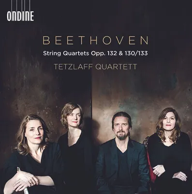 Obrázok produktu pre Ludwig van Beethoven (1770-1827): (CD / S)