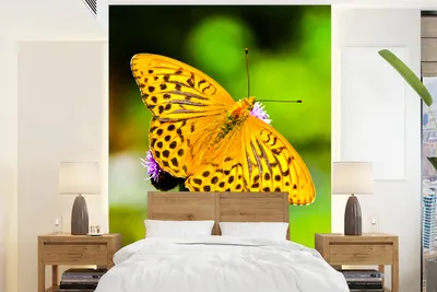 Produktbild von MuchoWow® Fototapete für Wohnzimmer oder Schlafzimmer Wandtapete Vinyl Motivtapete Schmetterling - Tiger - Blume - 165x220 cm - Wanddekorationen