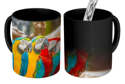 Obrázok produktu pre MuchoWow® Magický pohár Vtáky - Papagáje - Tropické - Príroda 350 ml Pohár na zmenu farby Darček Nápad na darček - Foto hrnček