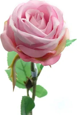 Produktbild von Kaemingk Rosenblüte Hellrosa 66 cm - Kunstblumen