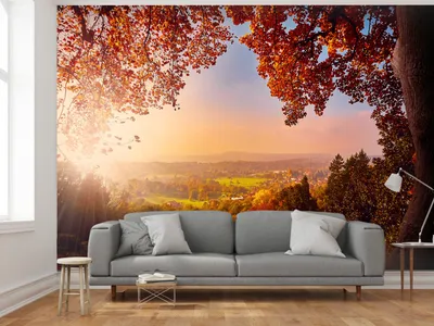 Produktbild von Vlies Fototapete 400x280 cm Tapeten Wandtapete XXL Landschaft Natur Bäume c-C-0031-a-a