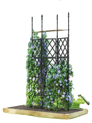 Image de Treillis de jardin, structure en acier, support vertical, noir