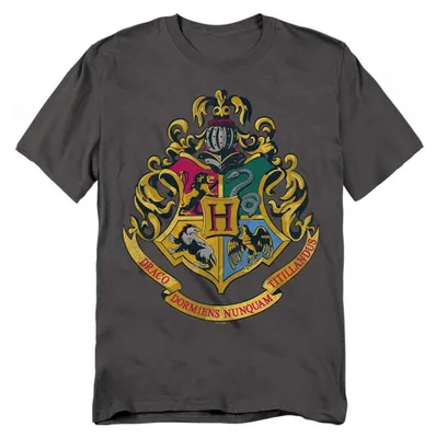 Immagine prodotto di Harry Potter - T-shirt unisex da uomo/donna, effetto , modello TV36977 (taglia L), colore antracite, productTiles.product.images.aiGenerated