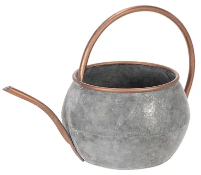 Produktbild von Rustikale Deko-Gießkanne aus Metall im Vintage-Landhausstil