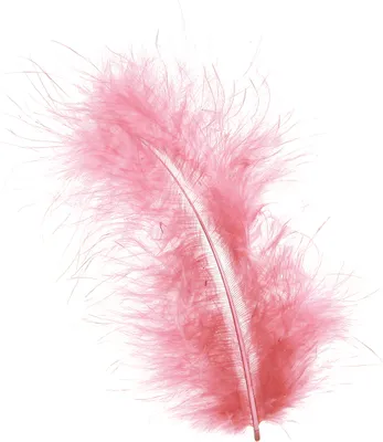 Produktbild von Rosa Vogelfedern 20g: Frühling, Ostern, Basteln, Deko