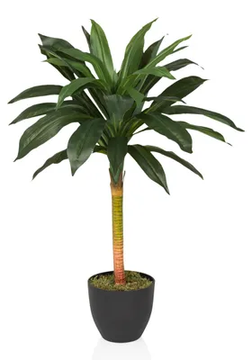 Obrázok produktu pre hjh OFFICE Umelá rastlina DRACAENA I Umelá rastlina Dragon tree Výška 85,0 cm Dekorácie