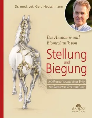 Obrázok produktu pre Die Anatomie und Biomechanik von Stellung und Biegung