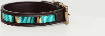 Produktbild von Kentucky Dogwear handgemachtes Halsband Pearls, Größe:M, Farbe:hellblau