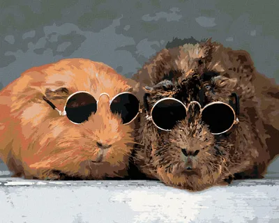Produktbild von Zuty - Malen nach Zahlen - MEERSCHWEINCHEN BEIM SONNEN, 40x50 cm, mit Keilrahmen (bereits gespannt)