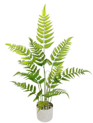Productafbeelding van Kunstplant, varen, in pot. Grote kunstvaren. Kunstvaren, varenstruik, bosvaren