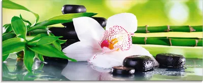 Produktbild von ARTland Glasbild Spa Steine Bambus Zweige Orchidee Größe: 125x50 cm