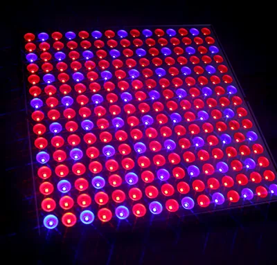 Obrázek produktu pro EINFEBEN LED lampa na rostliny 45W světlo pro rostliny 225 LED diod pro skleník, červeno-modré světlo pro rostliny pro sazenice, zahradu, květiny, vnitřní zahradní rostoucí lampa