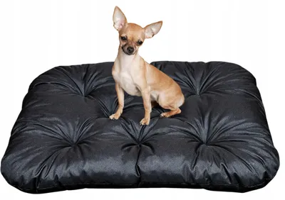 Produktbild von Dogs 4 Life Hundekissen wasserdicht strapazierfähig 120x90 cm