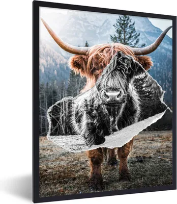 Produktbild von MuchoWow® Gerahmtes Poster Schottischer Highlander - Tiere - Schwarz - Weiß 60x80 cm - Poster mit Schwarzem Bilderrahmen Wandposter Rahmen Foto Bilder - Premium - Wanddeko Wohnzimmer