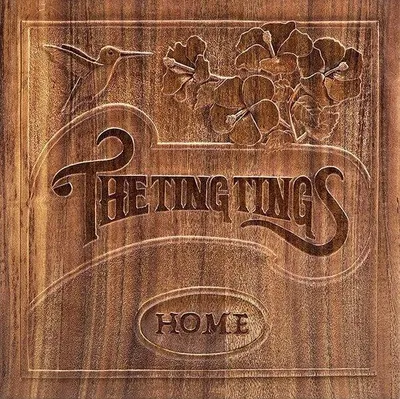 Immagine prodotto di The Ting Tings - Home (180 g) (LP)