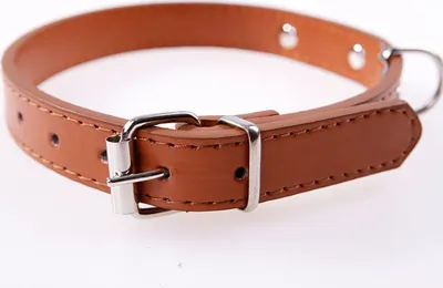 Produktbild von Hundehalsband Luxury Winiw / Braun XL