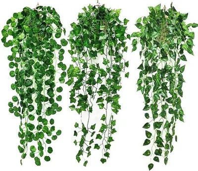 Zdjęcie produktu dla Sztuczne rośliny wiszące, zestaw 3 sztuk, 90 cm, zielone, do dekoracji ścian wewnątrz i na zewnątrz