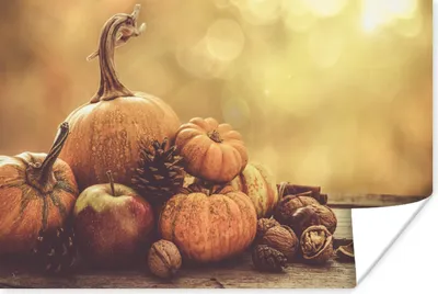 Produktbild von MuchoWow® Poster Kürbis - Herbst - Tannenzapfen - Obst - Apfel 90x60 cm - Schlafzimmer