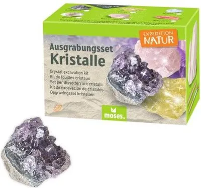 Produktbild von Ausgrabungsset Kristalle sortiert - Expedition Nat