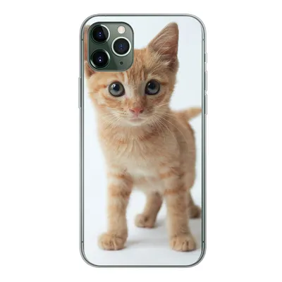 Produktbild von MuchoWow® Handyhülle Schutzhülle Hülle für iPhone 11 Pro Max Katze - Rot - Kätzchen - Mädchen - Kinder - Jungen - Kind Silikon Softcase Handy Hülle - Schutz