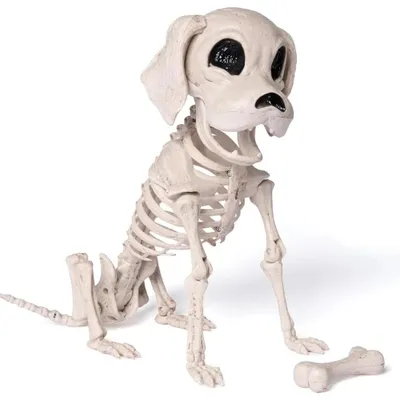 Produktbild von Hundeskelett - Bewegliche Gelenke - Realistisch - Ganzkörperdesign - Halloween-Dekoration - Kunststoff - 24,9 x 11,9 x 32 cm