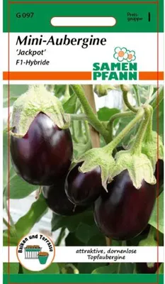 Produktbild von Mini-Aubergine Jackpot F1-Hybride | Auberginensamen von Samen Pfann