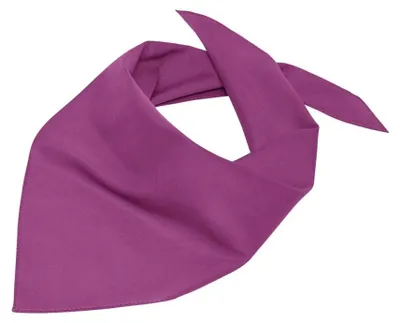 Image de Myrtle Beach - Écharpe LT999 (taille unique) (violet)