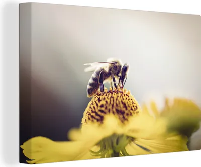 Produktbild von OneMillionCanvasses® - Leinwandbilder - 140x90 cm, Biene auf einer gelben Blume, Wandbilder Kunstdruck Wanddekoration