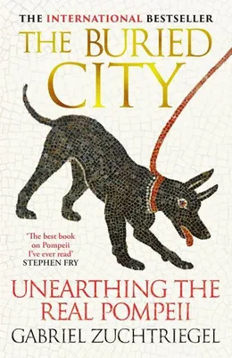 Immagine prodotto di The Buried City