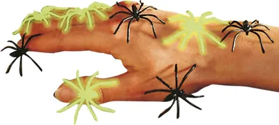 Immagine prodotto di Ragni luminosi di Halloween Ragni decorativi fosforescenti 6 pezzi