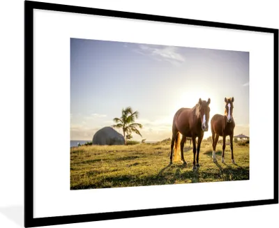 Produktbild von MuchoWow® MuchoWow® Gerahmtes Poster Pferde - Sonne - Gras 90x60 cm - Poster mit zchwarzem Bilderrahmen - Wanddekoration - Fotos