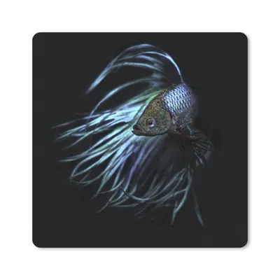 Produktbild von MuchoWow® Mauspad Mousepad Fisch - Schwanz - Schwarz 20x20 cm - Mousepads - Maus Mat - Pad - Mausunterlage - Desk Mat - Bureauartikeln