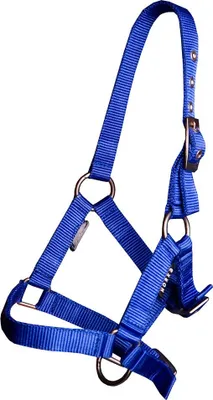 Immagine prodotto di Cavezze Horka Basic per puledri, blu, blu