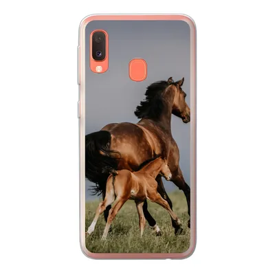 Produktbild von MuchoWow® Handyhülle Schutzhülle Hülle für Samsung Galaxy A20e Tiere - Pferde - Fohlen Silikon Softcase Handy Hülle - Abdeckung