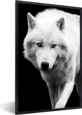 Produktbild von MuchoWow® Gerahmtes Poster Wolf - Tier - Schwarz - Weiß 40x60 cm - Poster mit Schwarzem Bilderrahmen Wandposter Rahmen Foto Bilder - Papierdruck - Wandbilder
