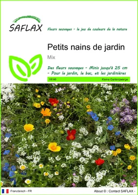 Image de SAFLAX  - Petits nains de jardin - 1000 graines - Mix
