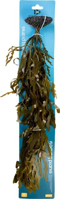 Zdjęcie produktu dla Aqua Della plastikowy krzew wodorostów zielony, rozmiar: L
