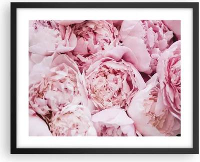 Produktbild von Gerahmtes Poster - Schwarzer Rahmen - Blumenstrauß Blumen Rosa - 50x40 cm - Wand Bild - Wanddeko - Wandbilder - Kunstposter - Wandposter - Bilderrahmen - Bilder - Kunstdruck - P2BAA50x40-5001