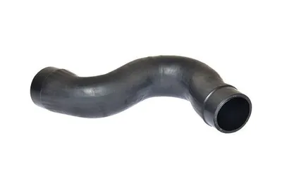 Image de BUGIAD Tuyau d'air de suralimentation