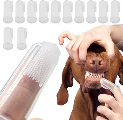 Produktbild von 12-teiliges Haustier-Zahnbürstenset, Fingerzahnbürste für Hunde, Silikon-Fingerzahnbürste für Hunde und Katzen, verbessert die Mundhygiene