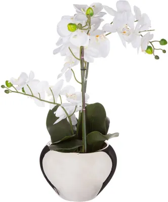 Produktbild von Künstliche orchidee keramikvase h57cm - Atmosphera créateur d'intérieur