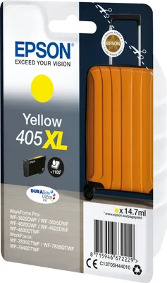 Packaging for an Epson ink cartridge.