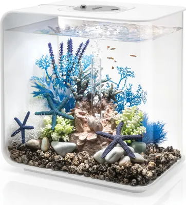 Produktbild von biOrb FLOW 30 LED weiß (72034)