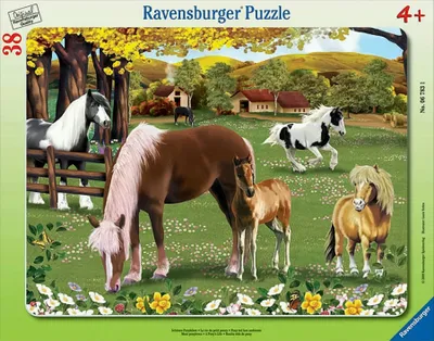 Produktbild von Schönes Ponyleben