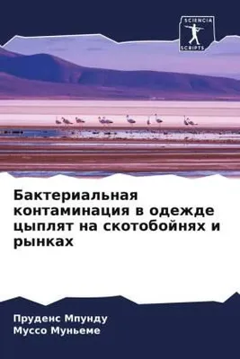 Produktbild von Bakterial'naq kontaminaciq w odezhde cyplqt na skotobojnqh i rynkah