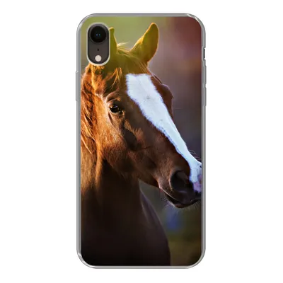 Produktbild von MuchoWow® Handyhülle Schutzhülle Hülle für iPhone XR Pferd - Licht - Mantel Silikon Softcase Handy Hülle - Schutzdeckel